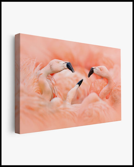 Flamingo Leinwand