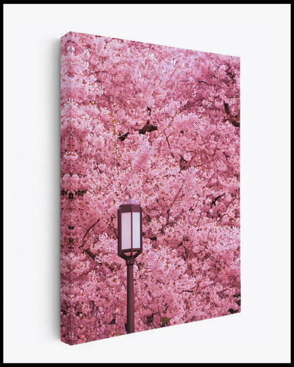 Cherry Blossom Canvas