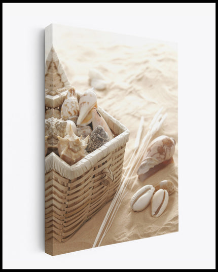 Shell Collecting Canvas