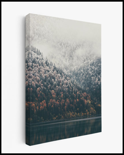 Coniferous Forest Canvas