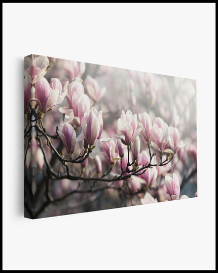 Pink Magnolia Canvas