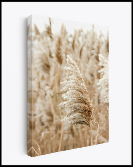 Golden Grain Canvas