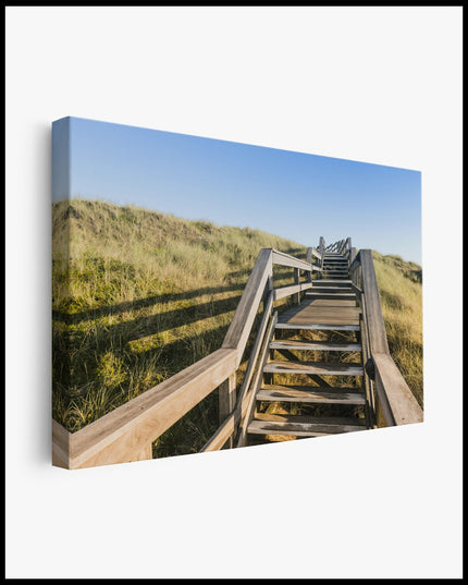 Dunes Wooden Staircase Canvas