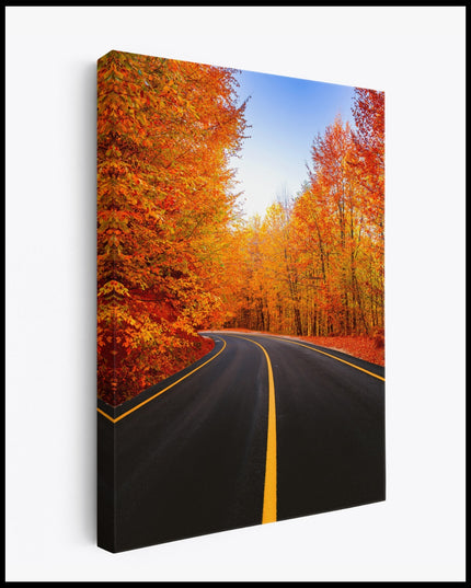 Autumn Forest Roads Canvas