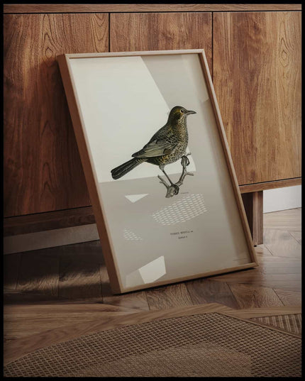 Turdus Merula Poster