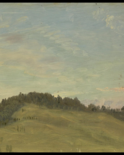 Summer Landscape