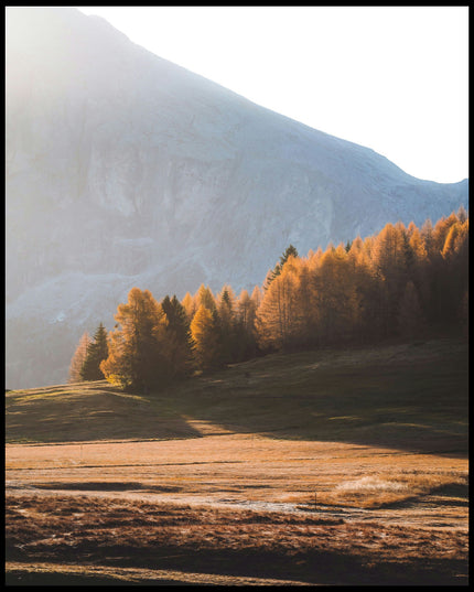 Ein Poster von einer Herbstlandschaft in den Dolomiten mit Bäumen im Sonnenlicht.