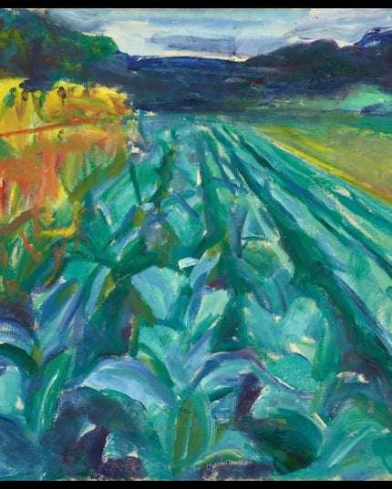 Cabbage Field