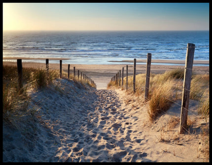 Ein Poster von Fußspuren im Sand auf einem Sandweg zum Strand.