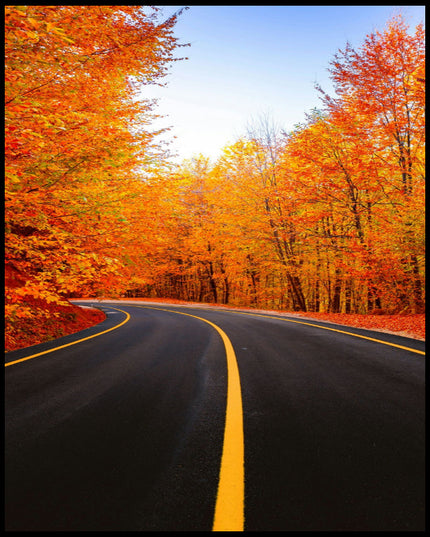 Ein Poster von einer leeren schwarzen Straße die durch einen herbstlichen. orangenen Wald führt.