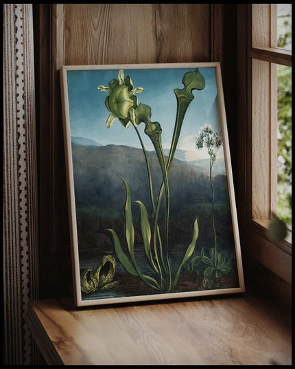 American Bog Plants