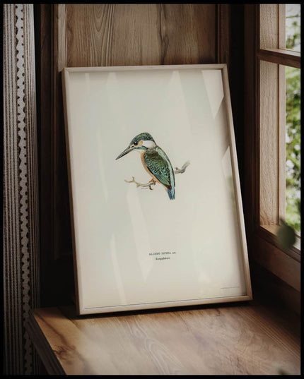 Alcedo Ispida Poster