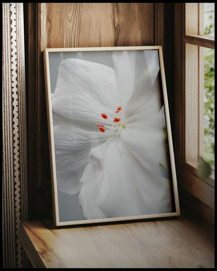 Ein gerahmtes Poster von einer weißen Geranienblüte mit orangen Staubgefäßen in Nahaufnahme, vor einem Fenster an die Wand angelehnt