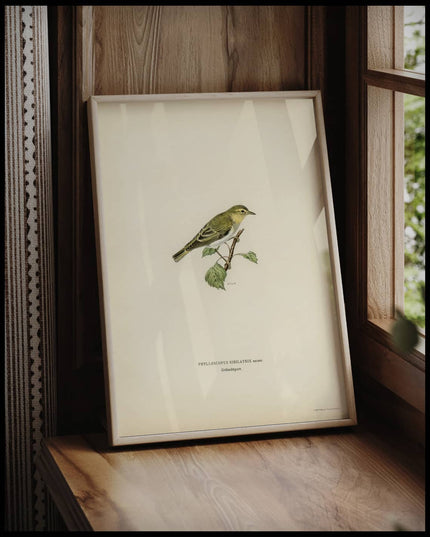 Phylloscopus Sibilatrix Poster